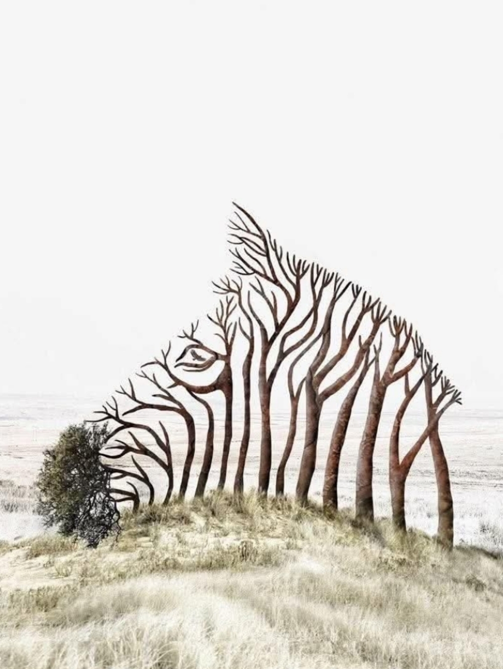 Wildlife Zebra Large Custom Fridge Magnet Home Kitchen Decor